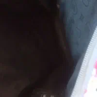 کیف مدرسه|کفش و لباس بچه|اصفهان, گورتان|دیوار