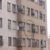 عروس هلندی گمشده