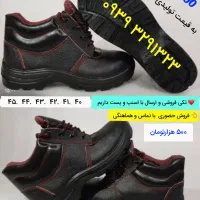 دستمال کاغذی|مواد شوینده و دستمال کاغذی|کرج, حصارک پایین|دیوار