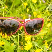 عینک آفتابی اله ELLE|زیورآلات و اکسسوری|کرمان, |دیوار