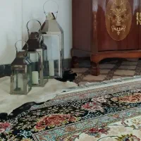 فانوس