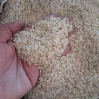 فروش برنج و چلتیک