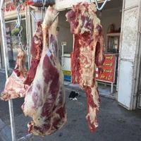 کهره و بره،بز ومیش،کولار و شیشک|حیوانات مزرعه|شیراز, دست خضر|دیوار