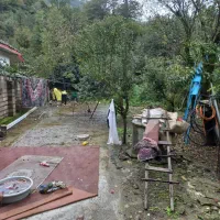 فروش ویلایی منطقه لوندویل استارا بر خیبان ابشار|فروش خانه و ویلا|لوندویل, |دیوار