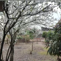 ۴۰۰متر خانه ویلایی لاهیجان