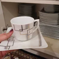 سرویس چینی. سرویس ۱۲ نفره . چینی توس