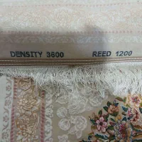 فروش|فرش|زنجان, |دیوار