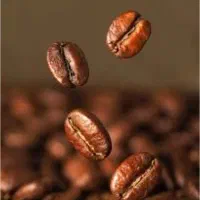 فروش عمده قهوه (دان و آسیاب)