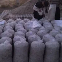 تفاله چغندر درجه یک|حیوانات مزرعه|پارس‌آباد, |دیوار