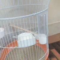 قفس سالم درحدنو و چهارپایه نو نو|لوازم جانبی حیوانات|اصفهان, جاوان|دیوار