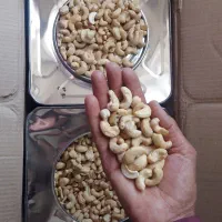 بادام هندی
