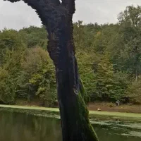 ساخت عکس پروفایل