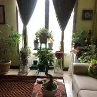ویزیت گیاهان در گلکده و محل شما باتجربه و مطمئن|گل و گیاه طبیعی|مشهد, شهید قربانی|دیوار