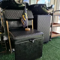 سرشور نشسته متحرک مجموعه زرکالا