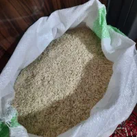 برنج هاشمی اصل
