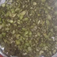 پوست گردو