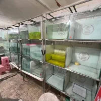 لوازم سالن ماهی زینتی