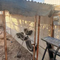 فروش فنس اهن آلات وچینکو درحدنو