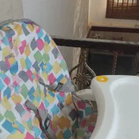 صندلی کودک، گهواره ،کریر،