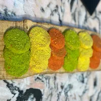 غذای خانگی مام فرد|خدمات پذیرایی، مراسم|مشهد, رضاشهر|دیوار