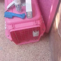 لوازم مصرفی  پت|لوازم جانبی حیوانات|باغستان, |دیوار