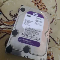هارد ۳ ترابایت بنفش وسترن دیجیتال (اصلی) HHD 3TB|قطعات و لوازم جانبی رایانه|پردیس, شهرک صنعتی خرمدشت فاز ۷|دیوار