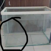 آکواریوم