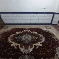 یک جفت فرش ۱۲ متری زرشکی