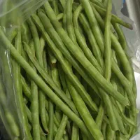لوبیا شهری درجه  یک اعلا تازه چین