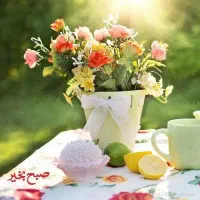 راهنمایی میخواستم