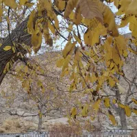 تور دوچرخه سواری