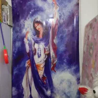 پرده چابی ۱/۲۰*۲۰۰