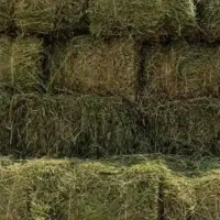 پرس شبدر . وعلف قاطی