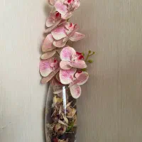 حراج وسایل منزل به قیمت استثایی به علت جابجایی