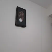 ویلایی دربست تمیز