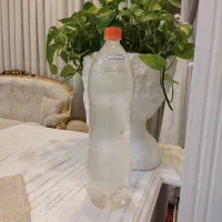 عرق گیاهی درمان انواع مشکلات معده و روده