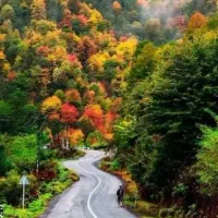 تور طبیعت گردی