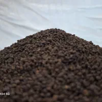 فروش چای کله مورچه ای هل دار عراقی