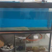 آکواریوم سایز بزرگ