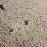 زمین سیاخ دارنگون|فروش زمین و ملک کلنگی|شیراز, باغشهر قصر سبز|دیوار