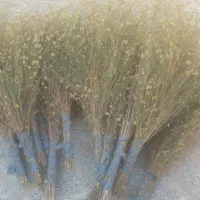 1500