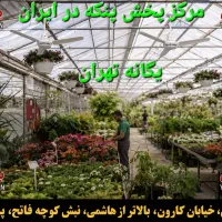 پنکه سقفی گل گلدون گل سرسبد کد F8920