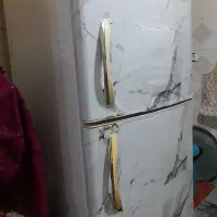 یخچال و فریزر الکترو استیل