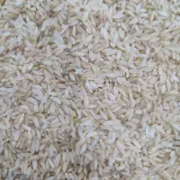 برنج.هم چمپا هم کام فیروز