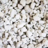 فروش کوکوپیت و پرلیت و انواع خاک|گل و گیاه طبیعی|شیراز, گویم|دیوار