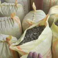 فروشی گورچین کود دارم کبوتر ر دارم|لوازم جانبی حیوانات|بناب, |دیوار