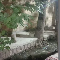 خونه باغ کوچک با آب روان ماهان