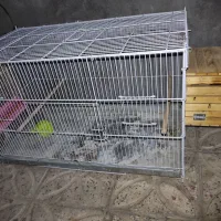 قفس  پرنده برای طوطی  درحد نو