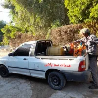 سم پاشی سوسک وموریانه زدایی|خدمات نظافت|هندیجان, |دیوار