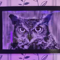 نقاشی زغال طرح جغد